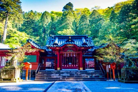 From Tokyo: Mount Fuji Private Customized Day Tour by Van Mt. Fuji & Hakone Full Day Private Customized Tour