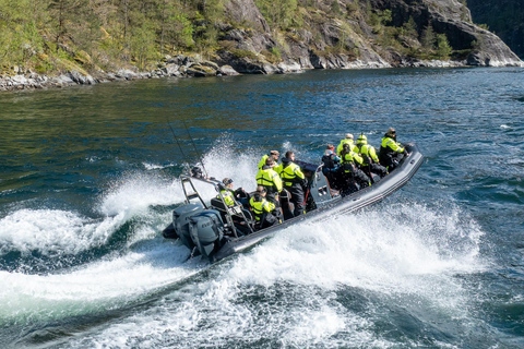 Bergen: Modalen RIB Fjord Safari with Lunch & Transfer