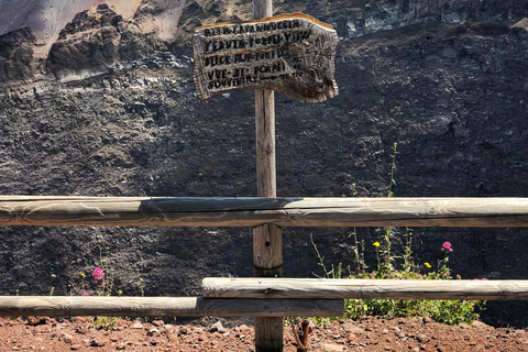 From Naples: Mount Vesuvius Half-Day Tour with Lunch Regular Tour