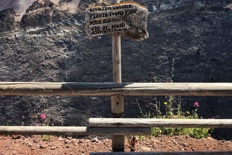 From Naples: Mount Vesuvius Half-Day Tour with Lunch Regular Tour