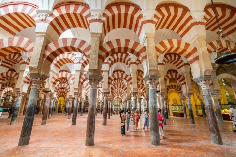 Córdoba: tour guiado del barrio judío y la Mezquita-CatedralTour grupal en francés