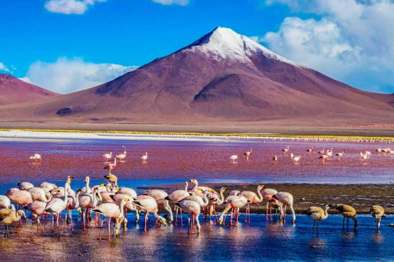 San Pedro de Atacama: Uyuni Salt Flat 4 dni