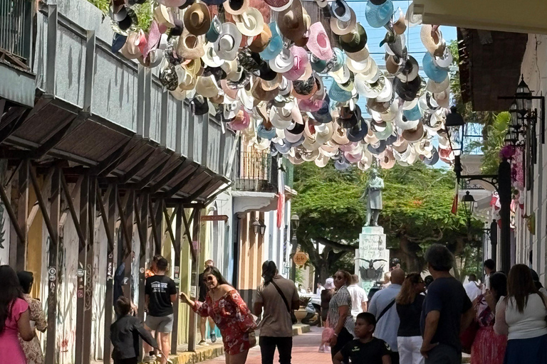 Ciudad de Panamá: tour de medio día a las esclusas de Miraflores y el casco viejo