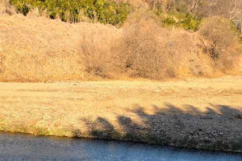 Ulsan: Bangudae Petroglyphs, Onggi Village & Park Tour