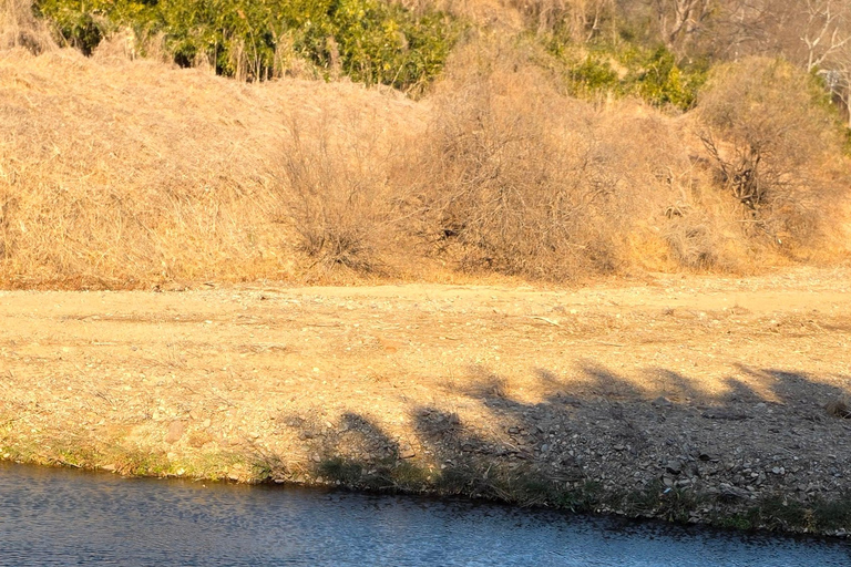 Ulsan: Bangudae Petroglyphs, Onggi Village & Park Tour