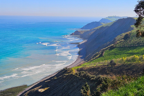 Basque Coast: Flysch Boat Tour or Walking Tour