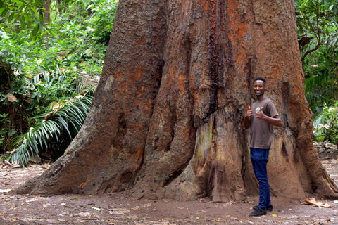 Moshi: Rau-Wald (Wanderung oder Radtour)Wandern im Rau-Wald