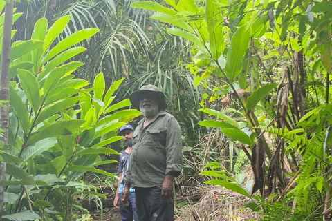 Esplora le cascate iconiche di Ella con un&#039;avventura panoramica in tuk-tuk