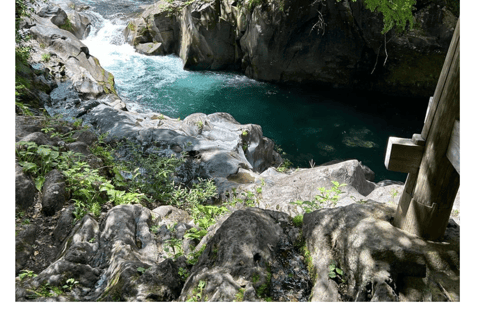 Nagano/Tokyo: Snow Monkey Private Day Tour At Lowest Rate