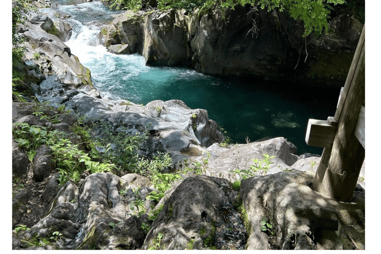 Nagano/Tokyo: Snow Monkey Private Day Tour At Lowest Rate