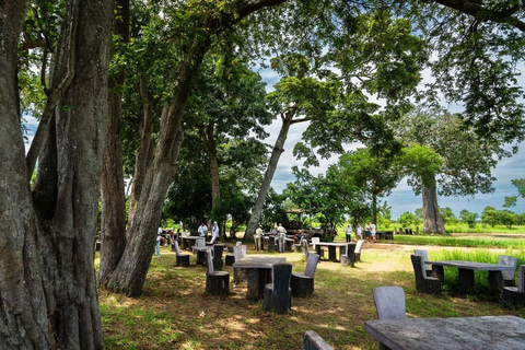 From Zanzibar: Mikumi Safari Day Trip with Flights and Lunch Mikumi Shared Safari without hotel transfer