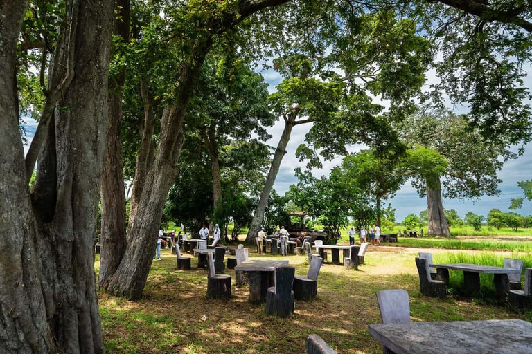 From Zanzibar: Mikumi Safari Day Trip with Flights and Lunch Mikumi Shared Safari without hotel transfer