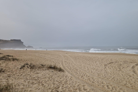 Porto para Lisboa com Aveiro-Coimbra-Fátima-Nazaré-Óbidos1 STOP