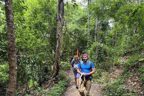 Chiang Mai: Santuario degli elefanti, sentiero dei monaci e tour di Doi SuthepPunto di incontro