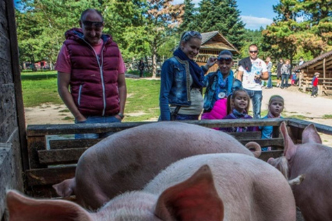 From Vienna: Bratislava & Countryside Guided Half Day Tour Private Tour