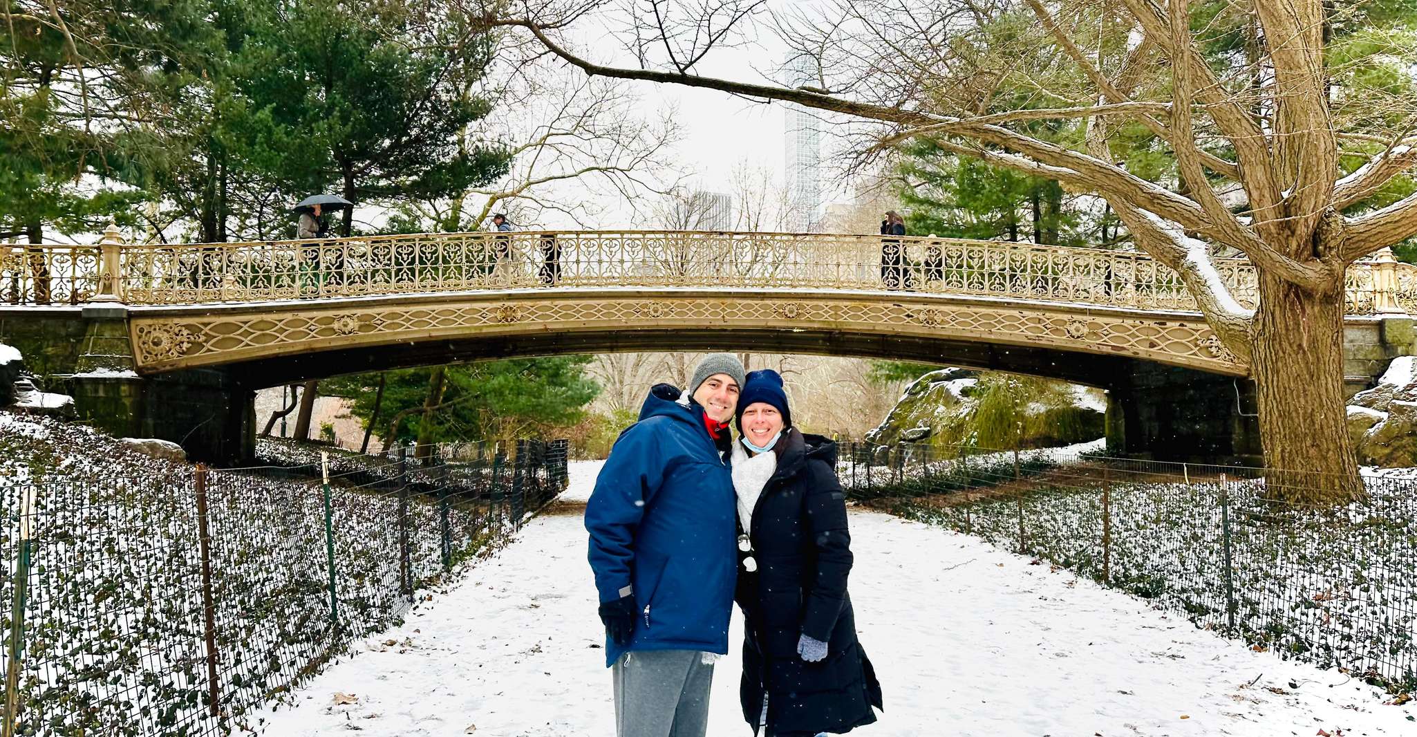 NYC, Home Alone 2 and Elf Tour in Central Park - Housity