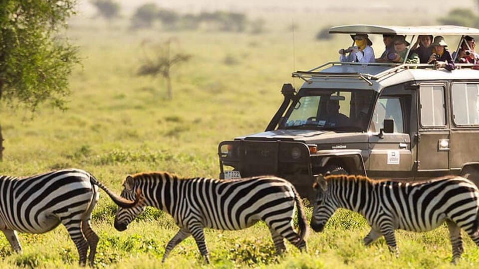 Nairobi National Park And Giraffe Center Tour Experience | GetYourGuide