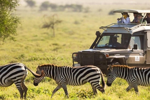 Park Narodowy Nairobi Półdniowa safari.