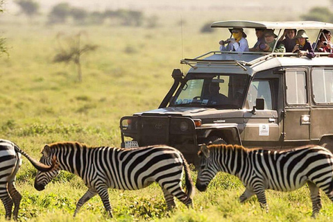 Nairobi Nationalpark: Halbtagestour für Gruppen mit Abholung