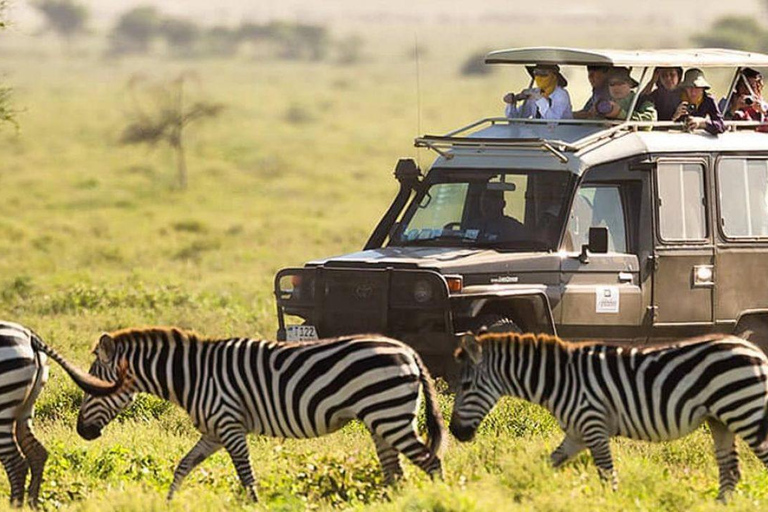 Parque Nacional de Nairobi: tour de medio día en grupo con servicio de recogida