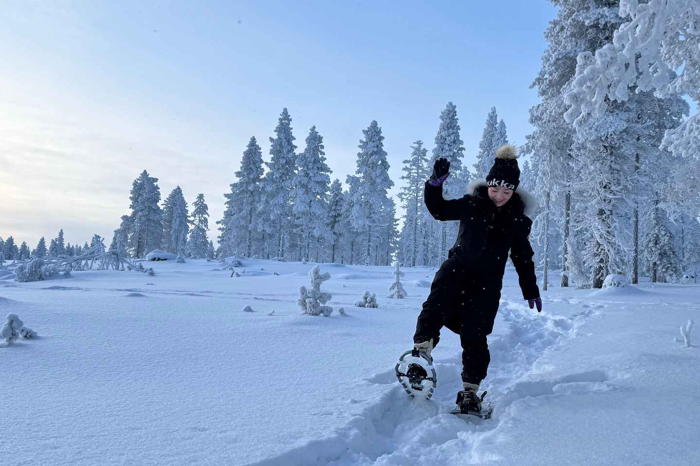Arctic Gateway: Snowshoeing Expedition in Lapland