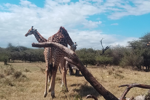 Mombasa: Wildlife Sanctuary Guided Nature Trail Tour Wildlife Sanctuary Guided Nature Trail Tour