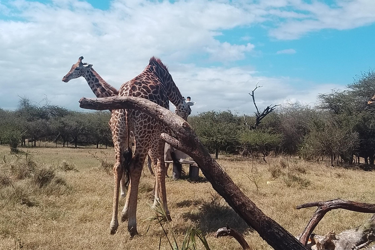 Mombasa: Wildlife Sanctuary Guided Nature Trail Tour Wildlife Sanctuary Guided Nature Trail Tour