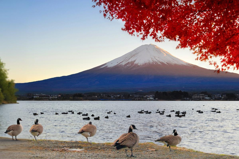 Tokyo: Mt. Fuji 5th Station Day Tour & Matcha Making