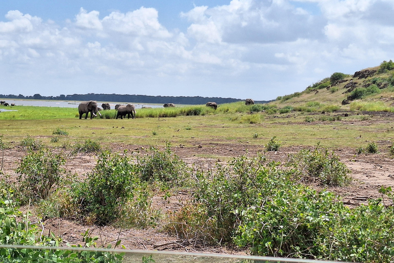 Nairobi: Amboseli National Park Tagestour mit PirschfahrtenSolo Nairobi: Amboseli National Park Tagestour
