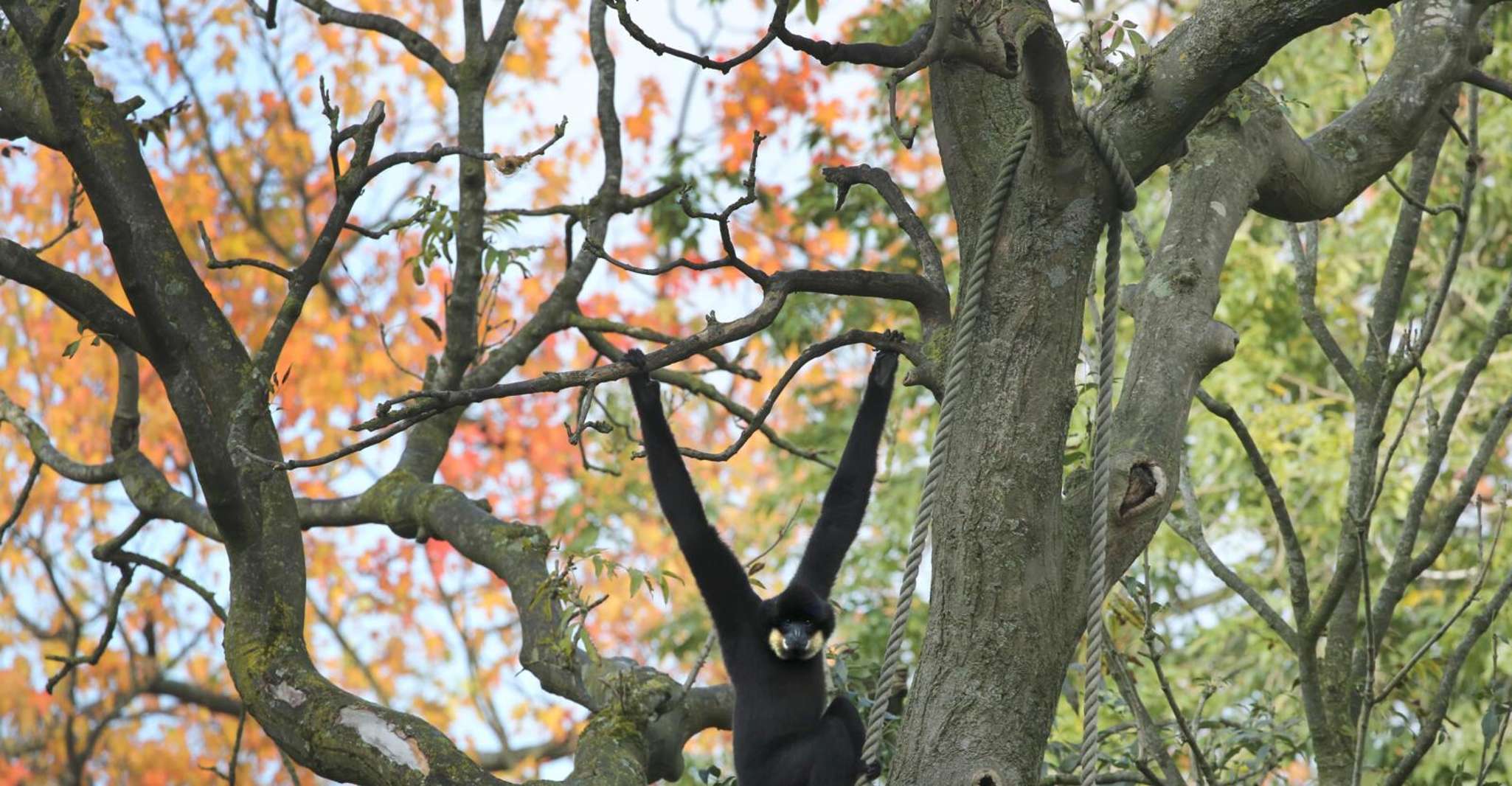 Amsterdam: ARTIS Amsterdam Royal Zoo Entry Ticket photo 7