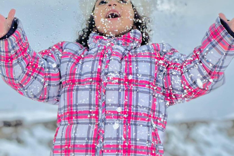 Valle Nevado, El colorado y farellones Panorâmico journée complèteValle Nevado y farellones Panorâmico journée complète