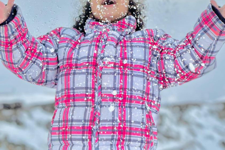 Valle Nevado, El colorado y farellones Panorâmico journée complèteValle Nevado y farellones Panorâmico journée complète