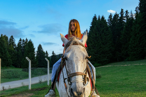 Quebec City: Mountain Trail Horseback Discovery Ride