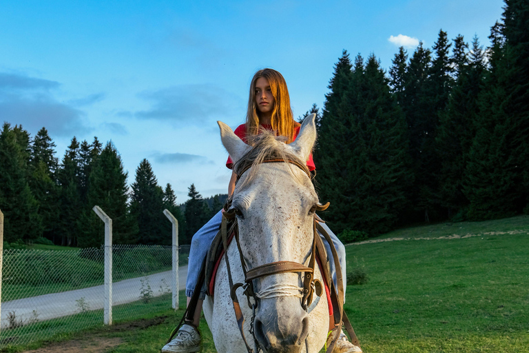 Quebec City: Mountain Trail Horseback Discovery Ride