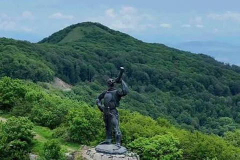 From Tbilisi: Private Didgori Valley Tour