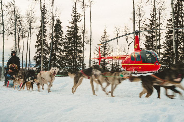 Palmer: "Dogs and Glaciers" Rodelen en Helikoptertour