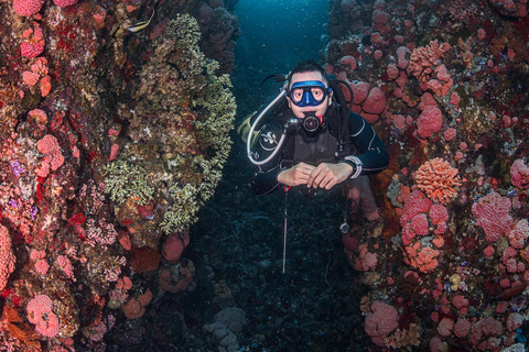 Full-Day Open Trip Diving in Komodo for Certified Divers