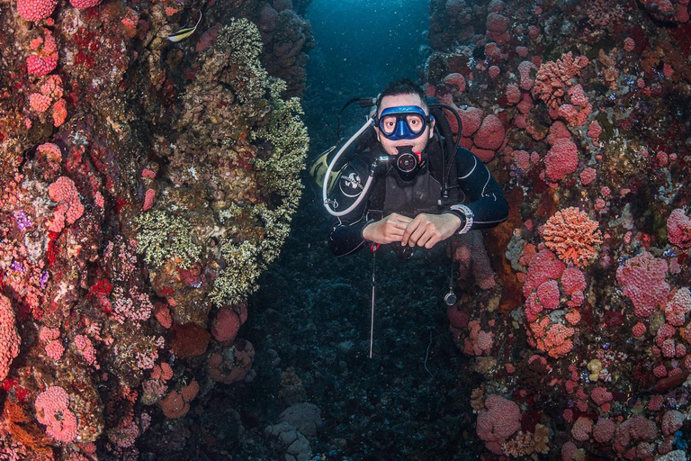 Full-Day Open Trip Diving in Komodo for Certified Divers