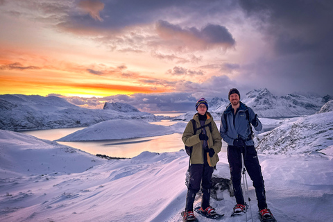 Reine: Winter Snowshoe Hike to Ryten – With Local Guide