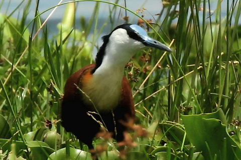 Nairobi: Crescent Island Sanctuary Day Trip with Lunch Nairobi: Crescent Island Sanctuary private day Trip