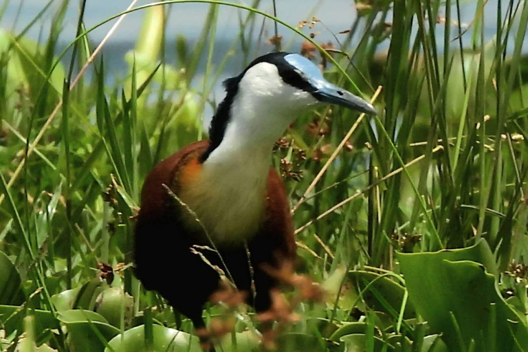 Nairobi: Crescent Island Sanctuary Day Trip with Lunch Nairobi: Crescent Island Sanctuary private day Trip