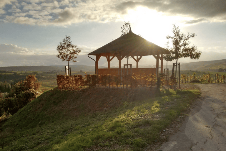Luxembourg: Moselle Wine & Beaufort Castle Private Day Tour