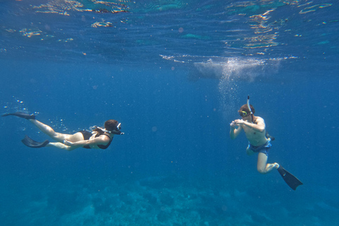 Bali: Private Snorkeling at Manta Point Nusa Penida Round Transfer Bali Island