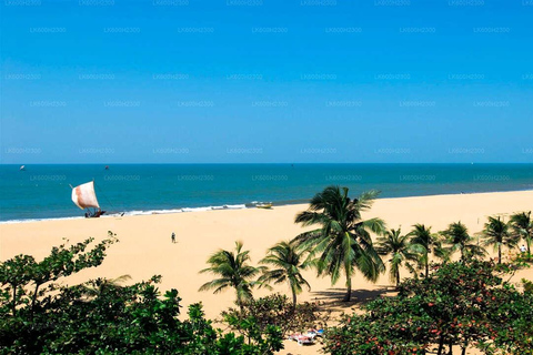 Sri Lanka: 12-Day Tour with Uncover the Rich Heritage