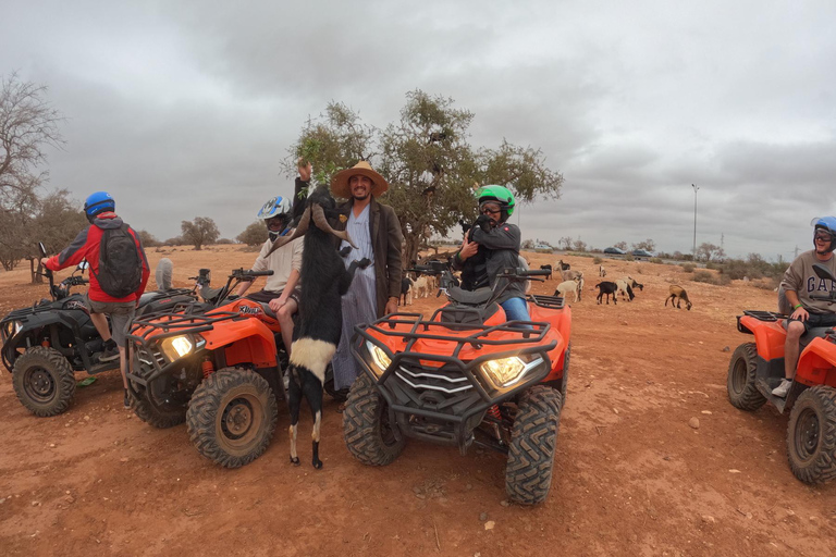 Agadir: Passeio de moto-quatro no deserto de Agafay com cabras na árvore