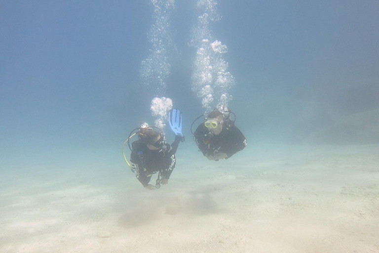 Fethiye: Full-Day Scuba Diving Adventure with Lunch