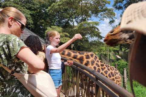 Nairobi: Giraffe Centre Visit and Giraffe Feeding Experience Nairobi: Interactive Giraffe Feeding & Wildlife Education