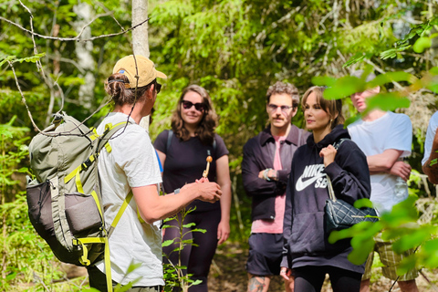 从赫尔辛基出发：努克西奥国家公园的迷人下午