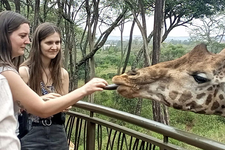 Parque Nacional de Nairobi, Orfanato de Elefantes e Centro de GirafasParque Nacional de Nairóbi, Orfanato de Elefantes e Centro de Girafas