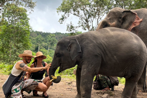 Chiang Mai: Doi Inthanon and Elephant Sanctuary TourMeeting Point